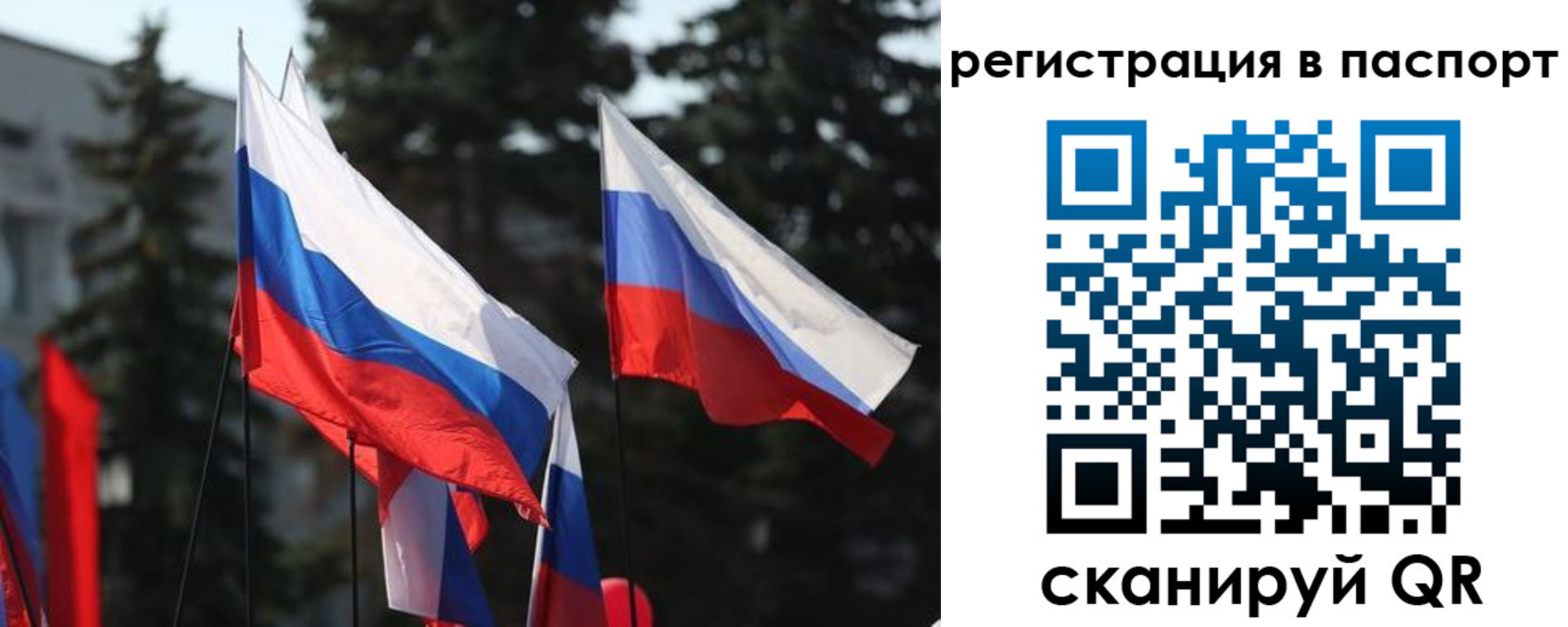 прописка штамп в Железногорске